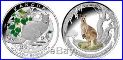 2013 Kangaroos of the world, Kangury Swiata, 2 x 1oz Silver Proof Coins