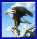 2014-100-FINE-SILVER-COIN-1-09-Oz-BALD-EAGLE-LIMITED-EDITION-50-000-WORLDWIDE-01-vj