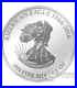 2016-American-Eagle-smick-1-oz-silver-coin-01-pmnk