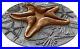 2019-2-Niue-World-Of-Fossil-STARFISH-Antique-Finish-2-Oz-Silver-Coin-01-xoe