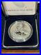 2020-End-of-World-War-II-75th-Anniversary-American-Eagle-Silver-Medal-01-vq