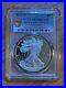 2020-End-of-World-War-II-75th-Anniversary-American-Eagle-Silver-Proof-PCGS-PR70-01-qyqs