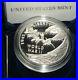 2020-US-Mint-999-Silver-Medal-End-of-World-War-II-75th-Anniversary-with-Box-COA-01-qi