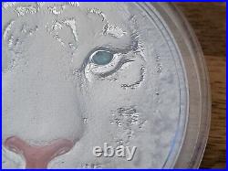 2022 White Tiger 5oz Silver $5 Coin. 3D High Relief Only 369 World Wide Stunning