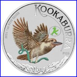 2024 Australian Kookaburra World Money Fair 1oz Silver Coloured Coin Presale
