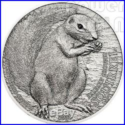 BARBARY GROUND SQUIRREL Over The World Black Swarovski Silver Coin 5$ Palau 2013