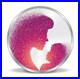 BIS-Hallmarked-World-Best-Mother-999-Pure-Silver-Coin-50-gm-01-sdxd
