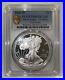 End-of-World-War-II-75th-Anniversary-American-Eagle-Silver-Proof-Coin-2020-V75-01-gp