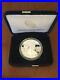 End-of-World-War-II-75th-Anniversary-American-Eagle-Silver-Proof-Coin-V75-01-oaop