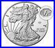 End-of-World-War-II-75th-Anniversary-American-Eagle-Silver-Proof-Coin-V75-01-wejk