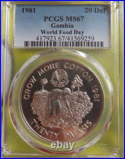 Gambia 20 Dalasis 1981 FAO World Food Day Silver PCGS MS67 grow more cotton