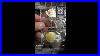 High-End-World-Silver-Coins-01-ir