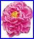 Peony-World-Enchanting-Flower-2022-2-1-Oz-Fine-Silver-Coin-Niue-01-zfv