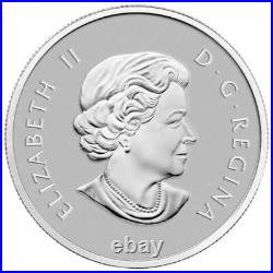 WELCOME TO THE WORLD Baby Feet 2012 CANADA 1/2oz Silver $10 Coin Only, NO COA WELCOME TO THE WORLD Baby Feet 2012 CANADA 1/2oz Silver $10 Coin Only, NO COA