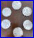 WORLD-OF-DRAGONS-Full-Set-of-6-BU-1-oz-silver-999-Coins-Rounds-01-pa