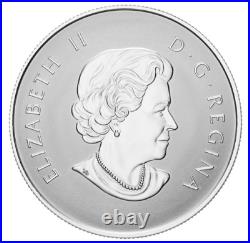 Welcome to the World BABY FEET 2019 CANADA 1/2oz. 9999 Pure Silver $10 Coin Welcome to the World BABY FEET 2019 CANADA 1/2oz. 9999 Pure Silver $10 Coin